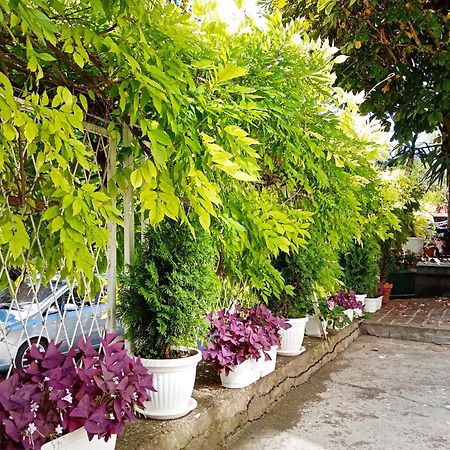 Belgrade Apartment Happy Garden Eksteriør billede