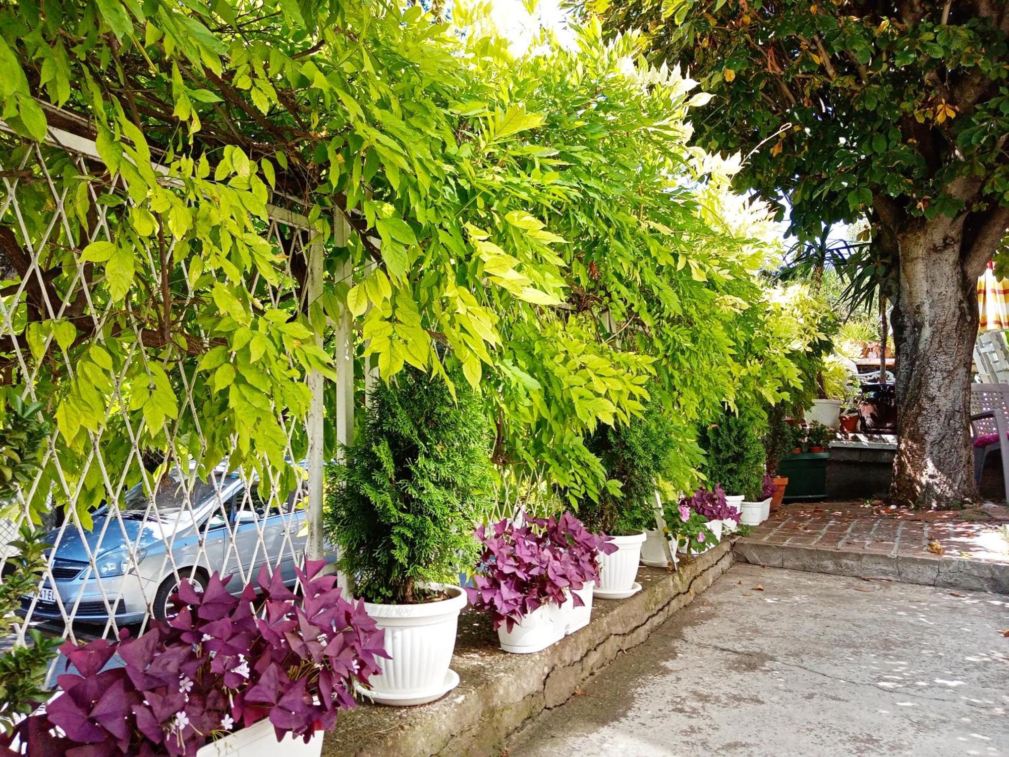 Belgrade Apartment Happy Garden Eksteriør billede