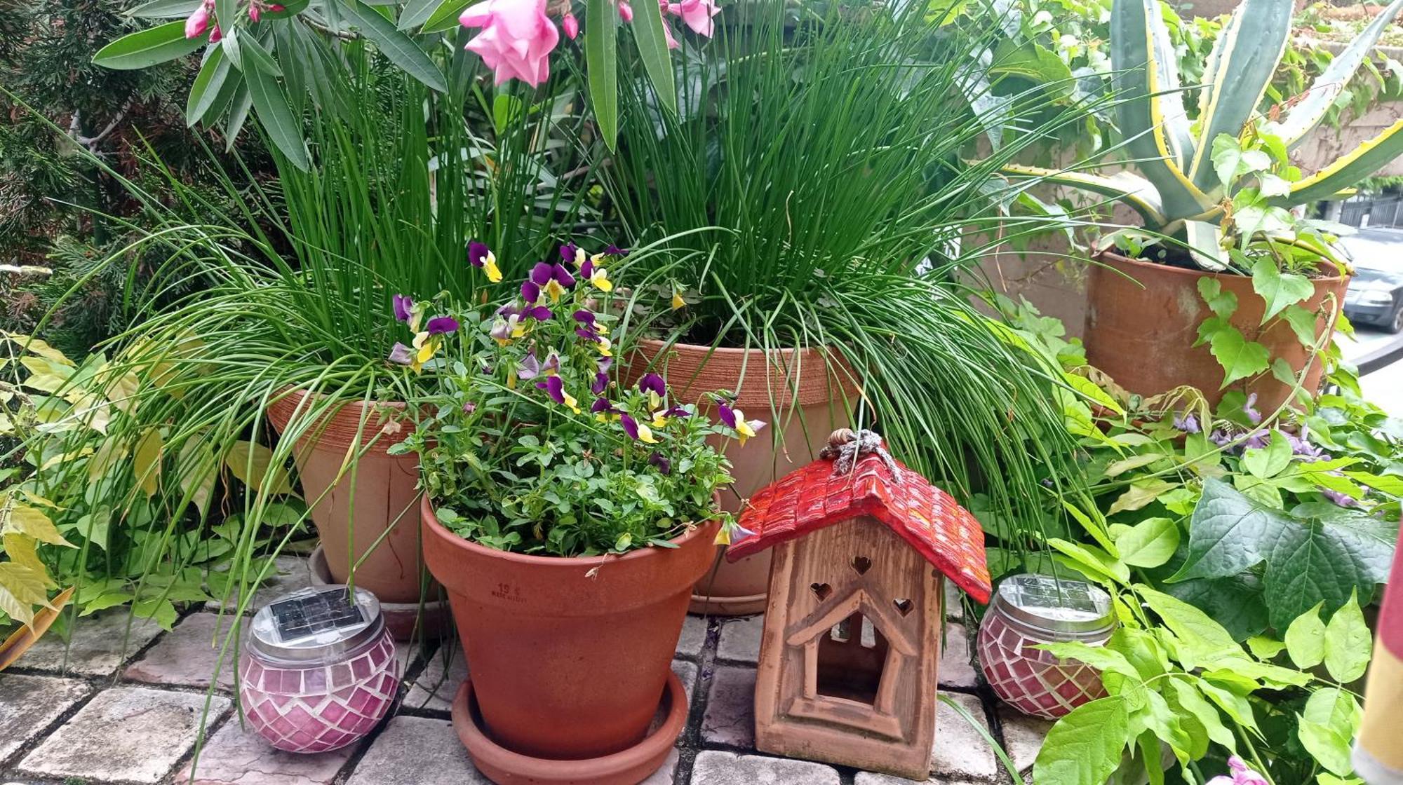 Belgrade Apartment Happy Garden Eksteriør billede
