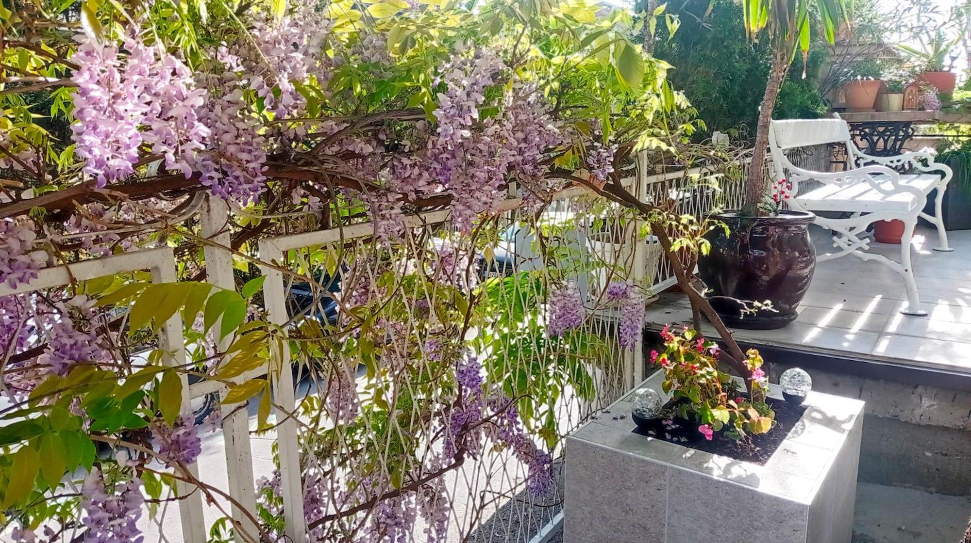 Belgrade Apartment Happy Garden Eksteriør billede